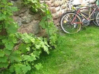 Deux nouveaux copains, Déos et Chili