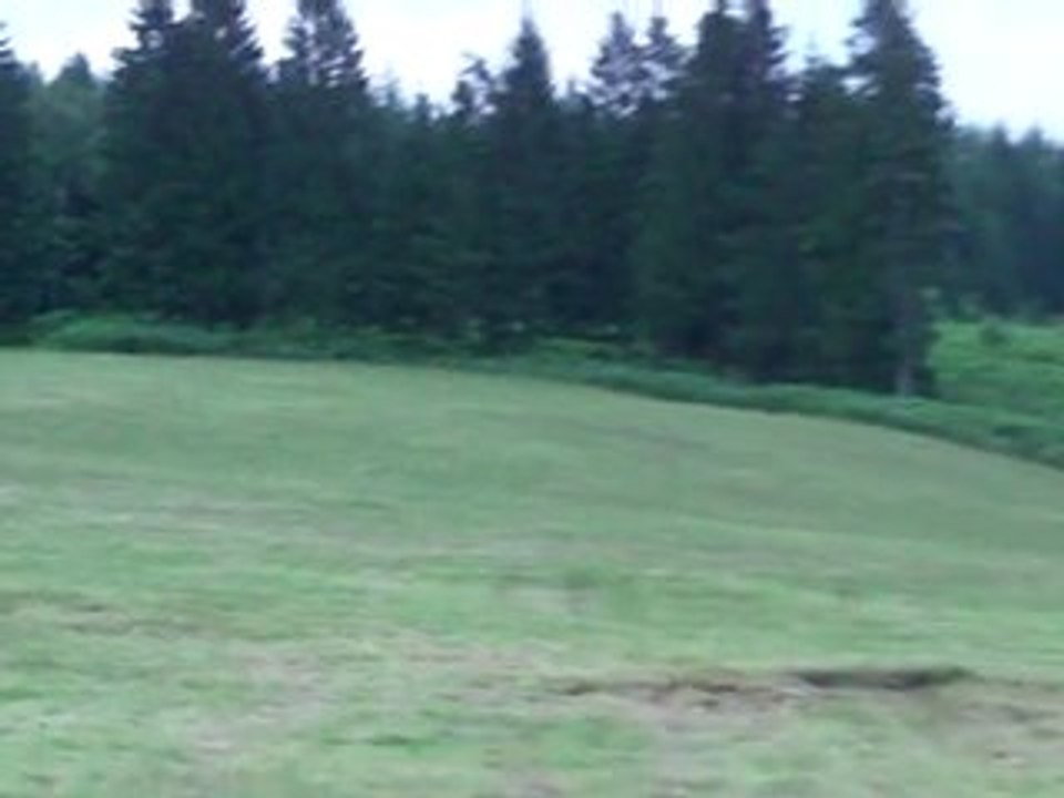 affut renard du 1er aout 2010