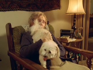 Scary Things Happen in The Dark