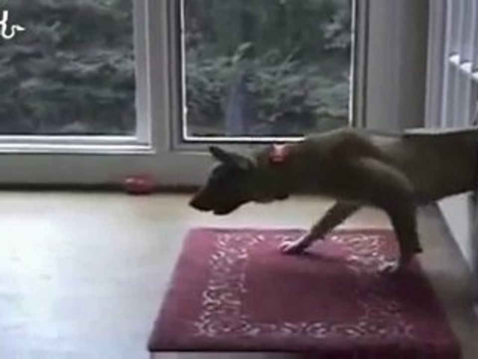 Bon, visiblement, c'est chez Lucky Luke, vu qu'il y a Rantan