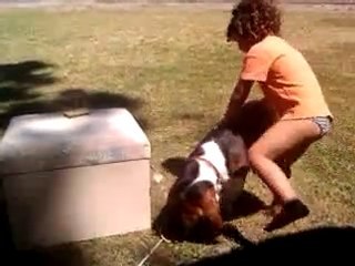 110m haies ... avec un basset