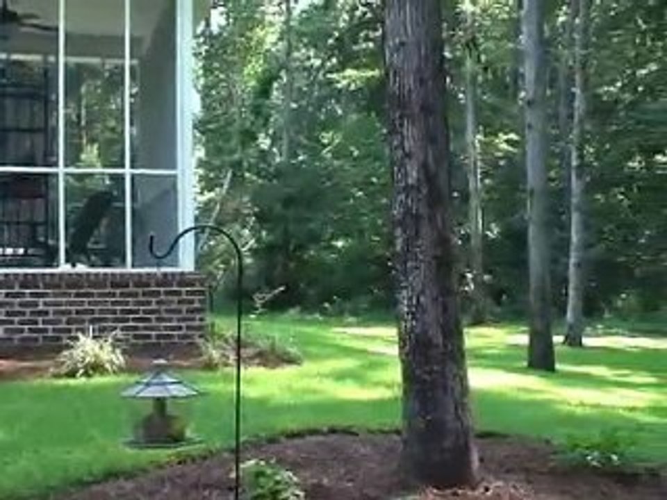 Forrest McKie | Woodstone | The Augusta Chronicle