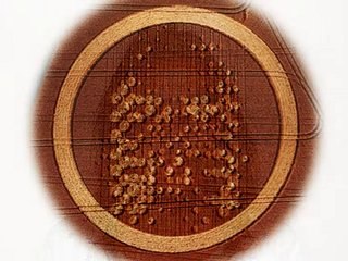 CROP CIRCLE, HYPOTHESE...