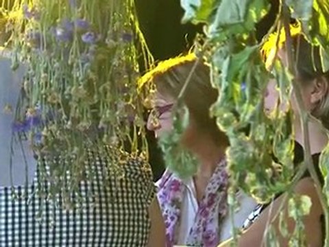 Les soirées spectacles 2010