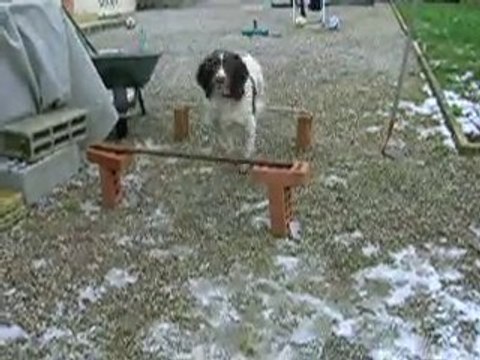 saut de puce =) + passage entre les jambes