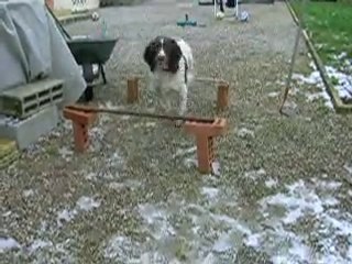 saut de puce =)  + passage entre les jambes