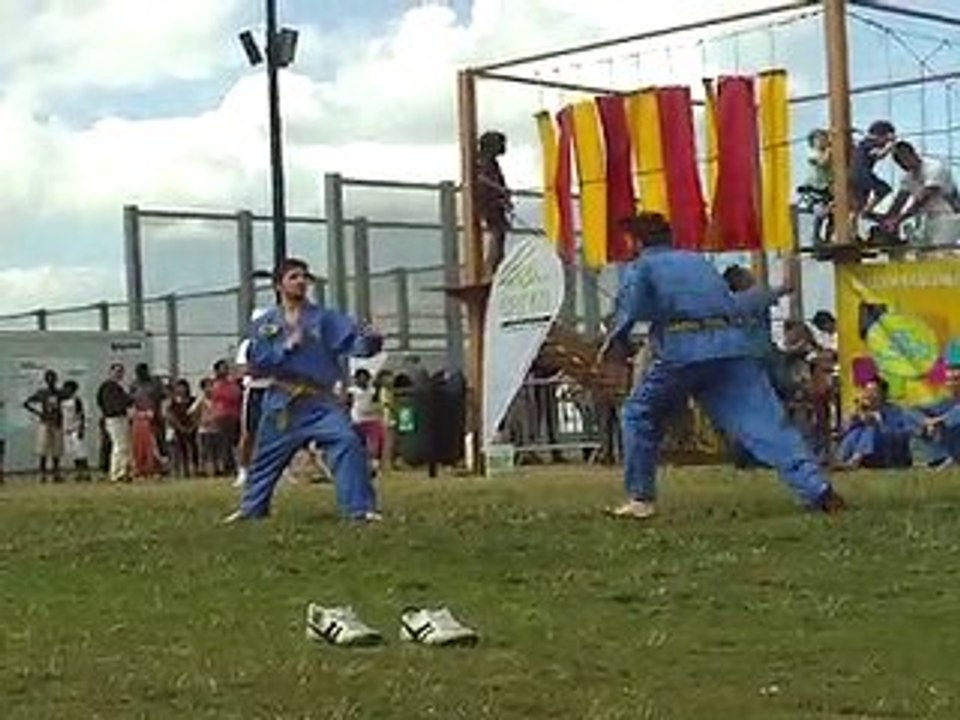 Vovinam Viet Vo Dao - 12