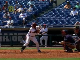 South Carolina Baseball Piece