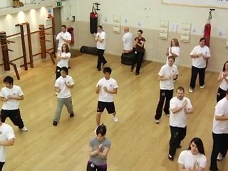 Introduction to the Kung Fu Schools
