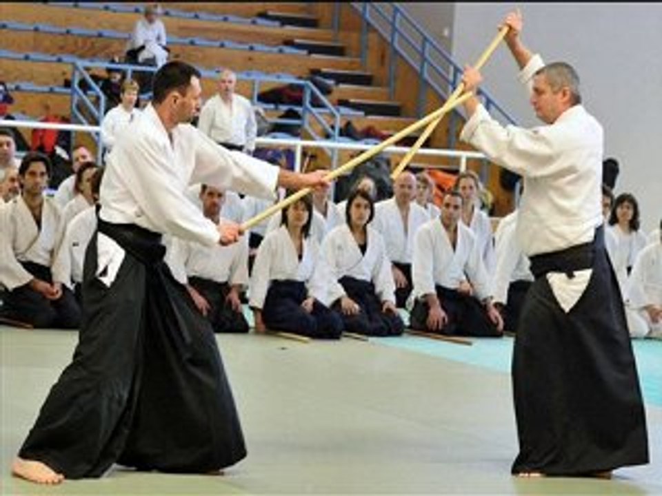STAGE D'AIKIDO AVEC ALAIN PEYRACHE BOURG EN BRESSE  2010