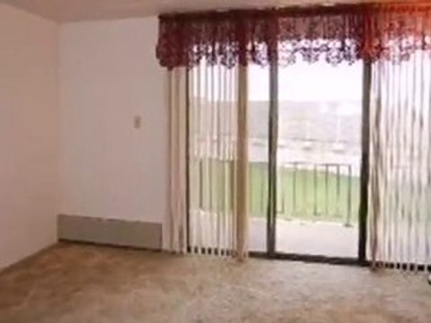 Homes for Sale - 2304 Holiday Ter Apt 205 - Lansing, IL 6043