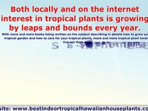 Exotic Tropical Plants - Grow Your Own Tropical Garden