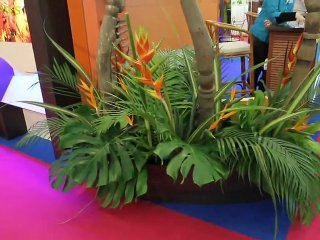 TravelPics Ep.10 : Salon de la Plongée de Paris