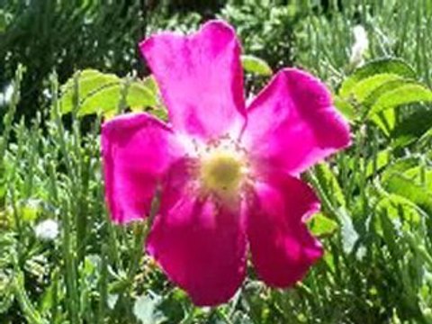 Pêche et randonnée aux lacs des camporeils