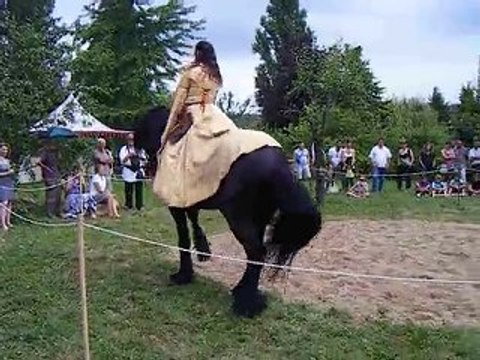 Foire médiévale souvigny 2010 L'hippogriffe