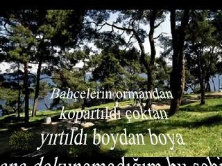 Ahmet Ertan MISIRLI -- Şairi Şiiri Yaşamı Paylaşmak İçin