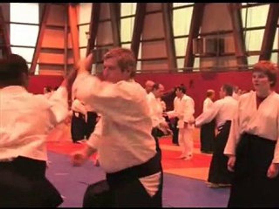 STAGE D'AIKIDO A EMERAINVILLE (77) AVEC ALAIN PEYRACHE