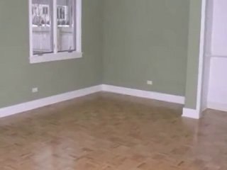 Homes for Sale - 1008 Plaister Ave - Lake Bluff, IL 60044 -