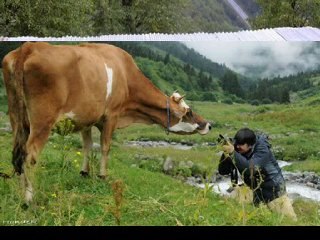 çamlıhemşin manzara-29-