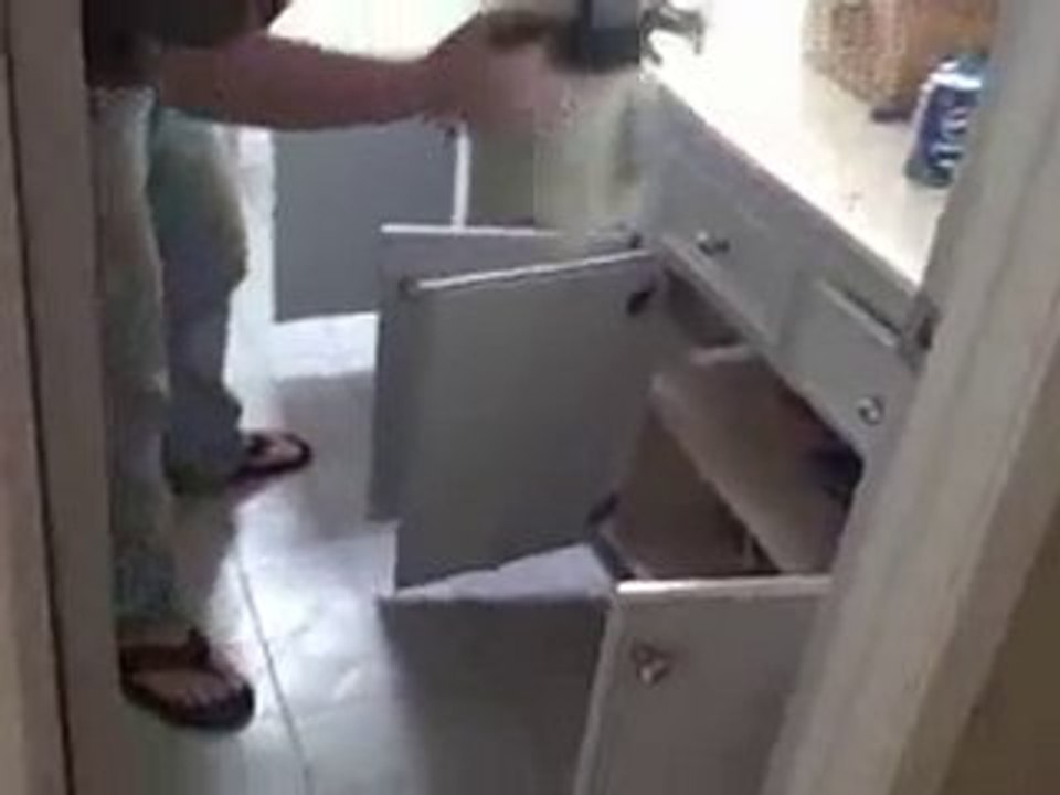 How To Get Rid Of Ants