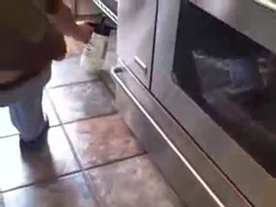 Get Rid Of Cockroaches