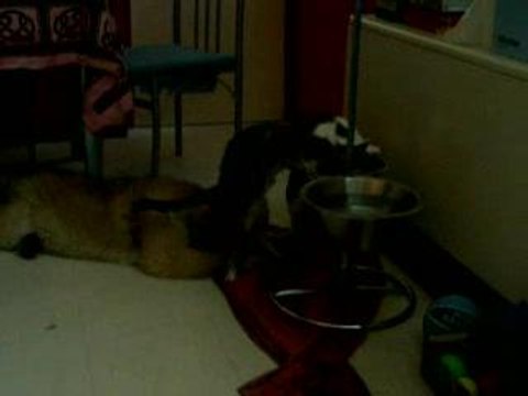 Brook le 5 juillet 06 010