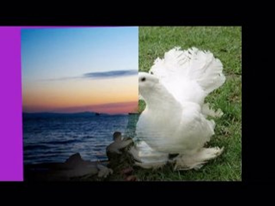 Bestekar Salihi-Unutursun diye-Yapım Salih KIRTIL