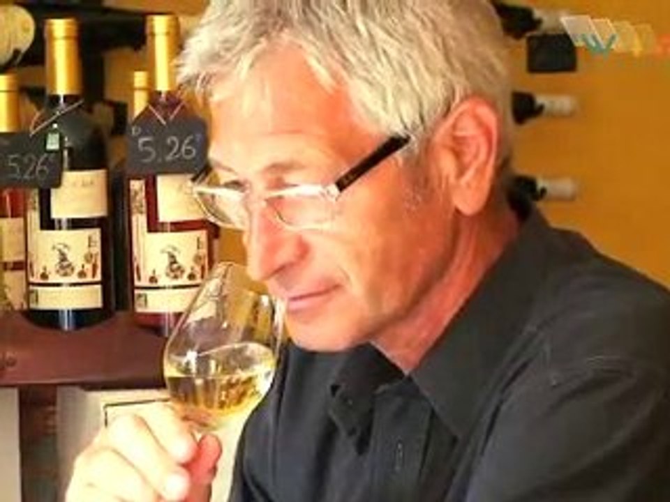 Vente de vins et spiritueux. Formations, dégustation