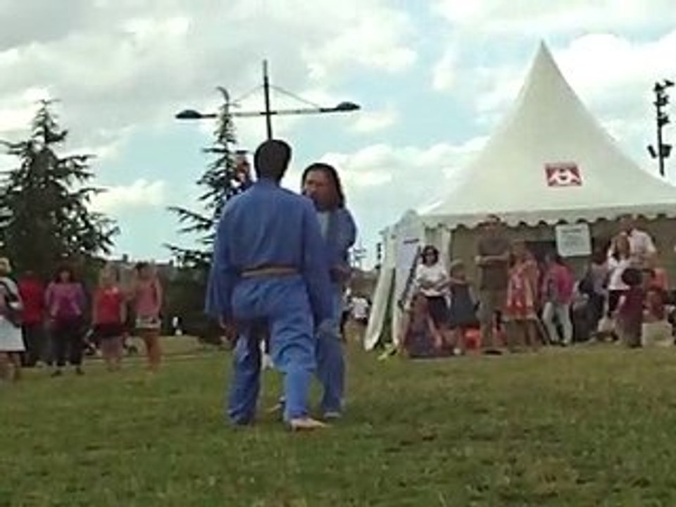 Vovinam Viet Vo Dao - 07