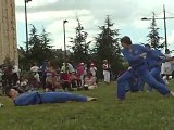 Vovinam Viet Vo Dao - 06