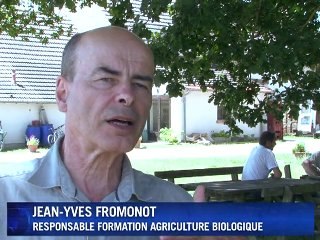 Agriculture bio : l'avenir est dans le pré ?