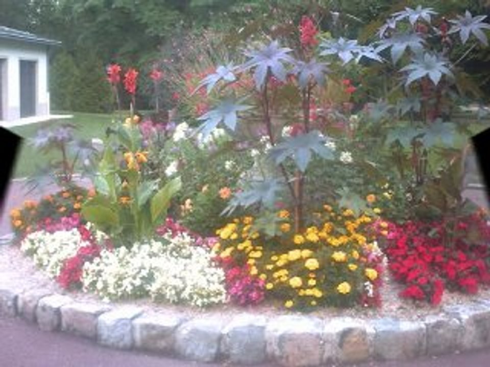 JOURNEE AVEC DES AMIS