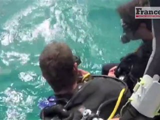 Reportour : Australie, plongée sur la barrière de corail