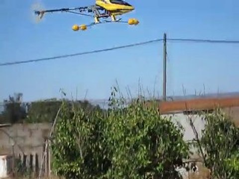 T-REX 450 SE V2 Stationnaire