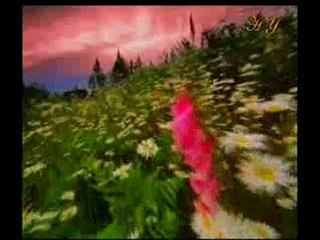 Hz. Muhammed (sav)'in örnek ahlakı tüm çağlara ışık tutuyor