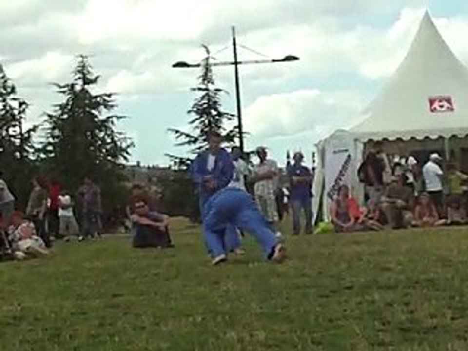 Vovinam Viet Vo Dao - 04