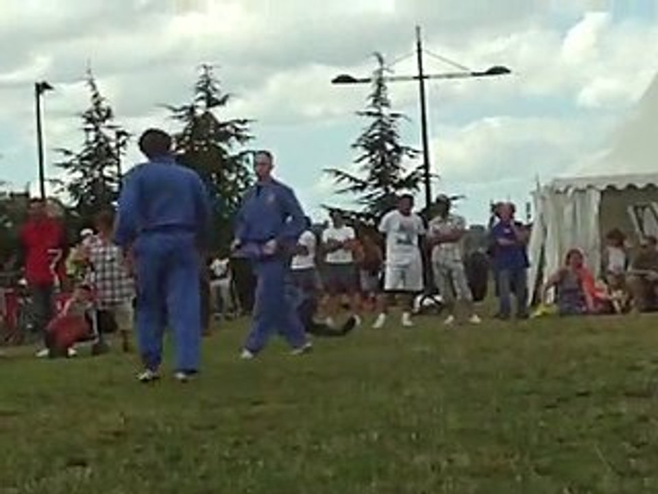 Vovinam Viet Vo Dao - 03