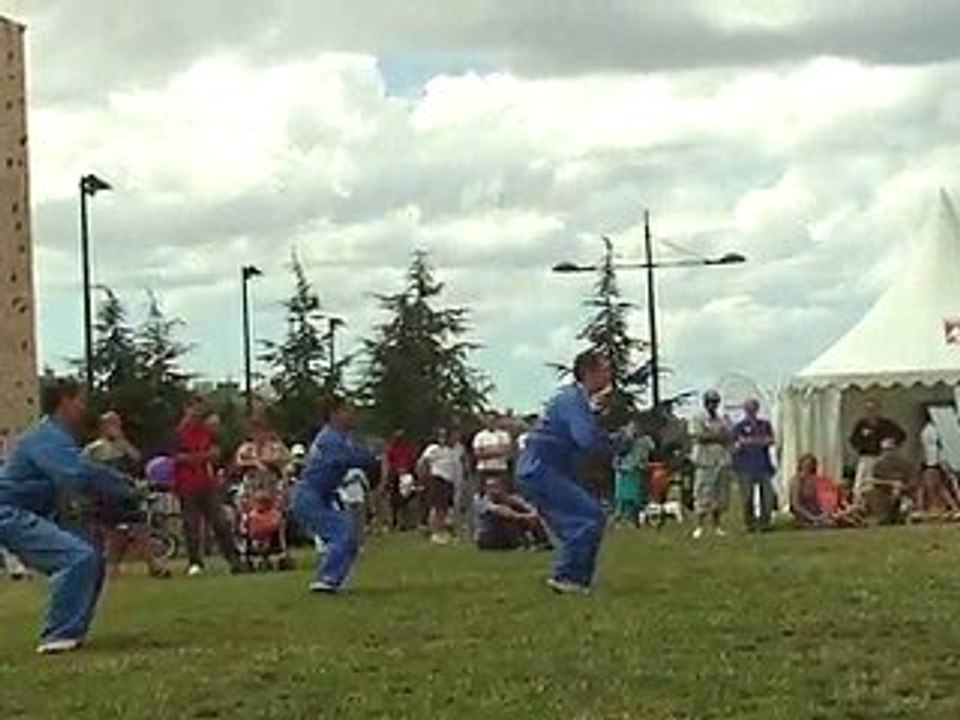 Vovinam Viet Vo Dao - 01