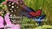 Download Free Animated Butterfly Woods Screensavers