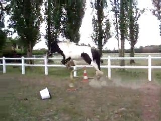 Egor saut en liberté