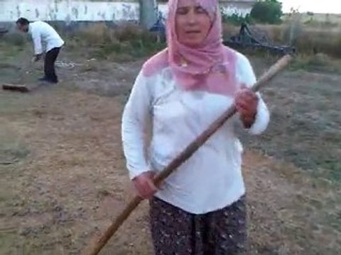 ALİŞAR KÖYÜ SORGUN YOZGAT-ARPA BUĞDAY CEC OLUYOR