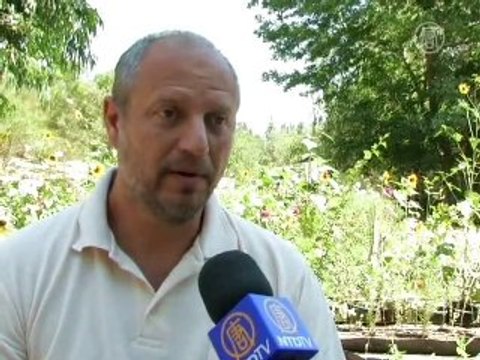 Спасти бабочек призывают в Иерусалиме