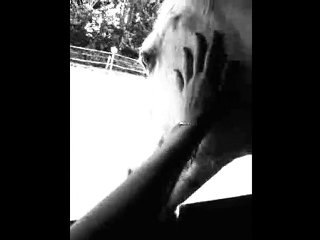 Souvenir souvenir... Mon Diable et moi