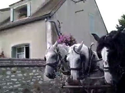 HTC Desire vidéo 720p en 1280x720