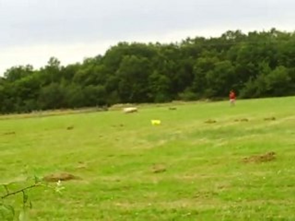 concours spé border dixie cl1 le 25-07-10 jully les buxy