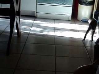 elliot et dakota,enfin !!!!! 002