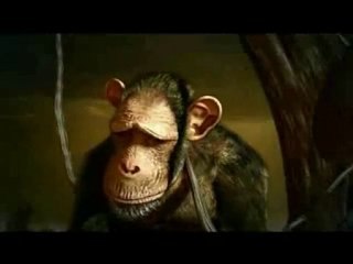 Quercus  Stop Global Warming