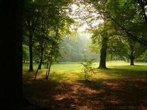 Sevda Karababa- Başımın belası gönlüm