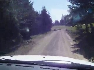 Samandereden Abanta Gidiş Yolu 2