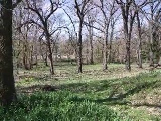 Homes for Sale - 8S560 River Dr - Naperville, IL 60565 - Col